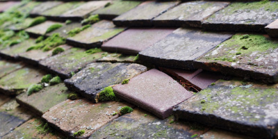 Littlecote roof repair costs
